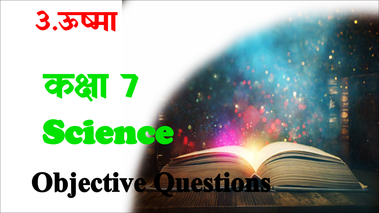 Usma Class 7 Objective Questions